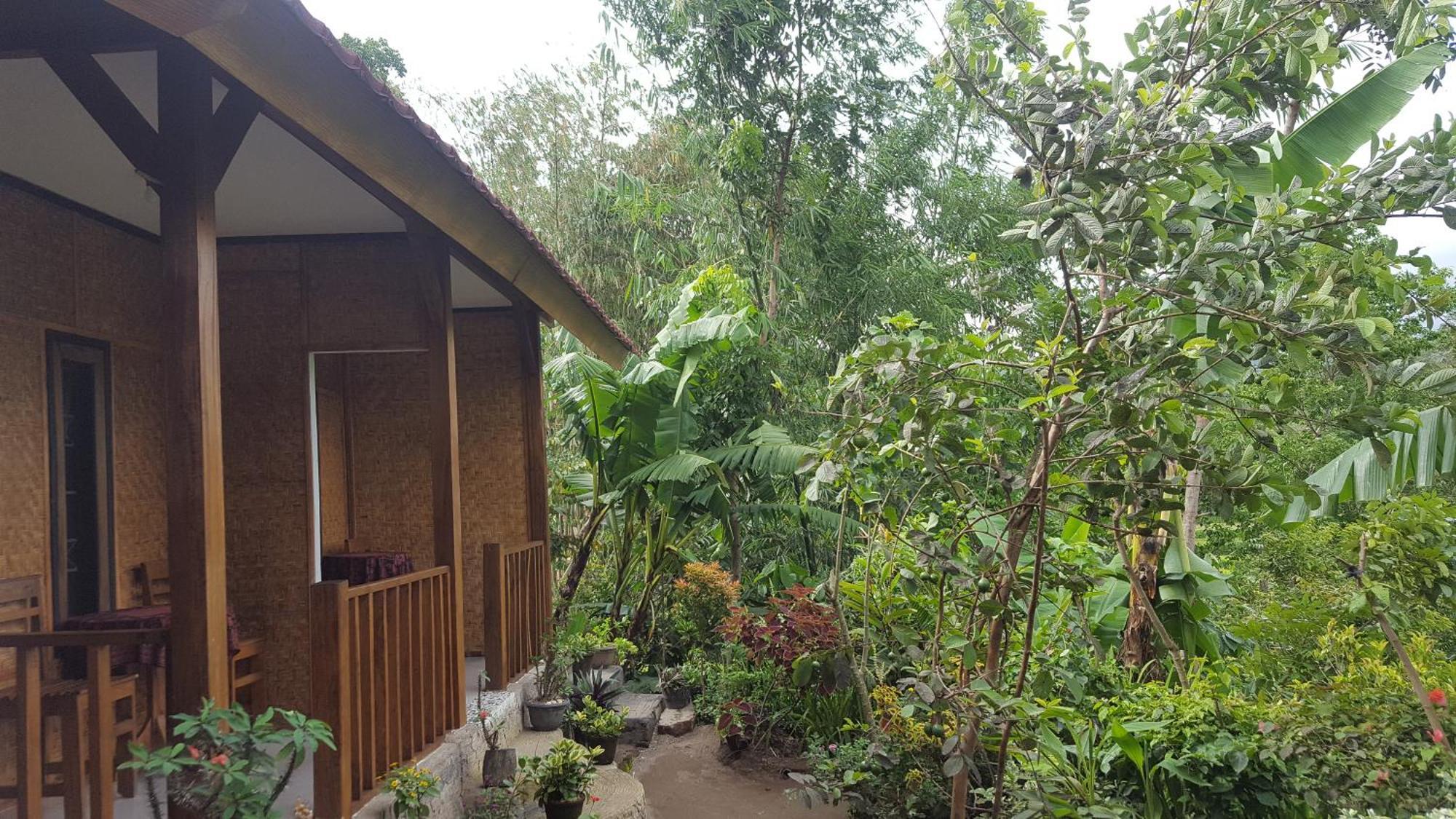 Tetebatu Indah Homestay Rum bild