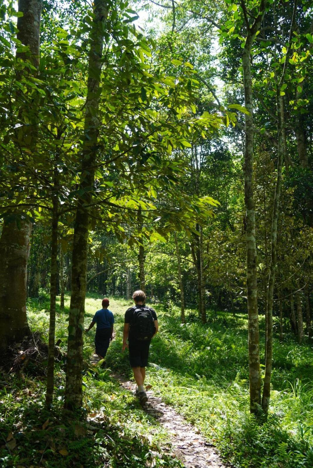 Tetebatu Indah Homestay Exteriör bild