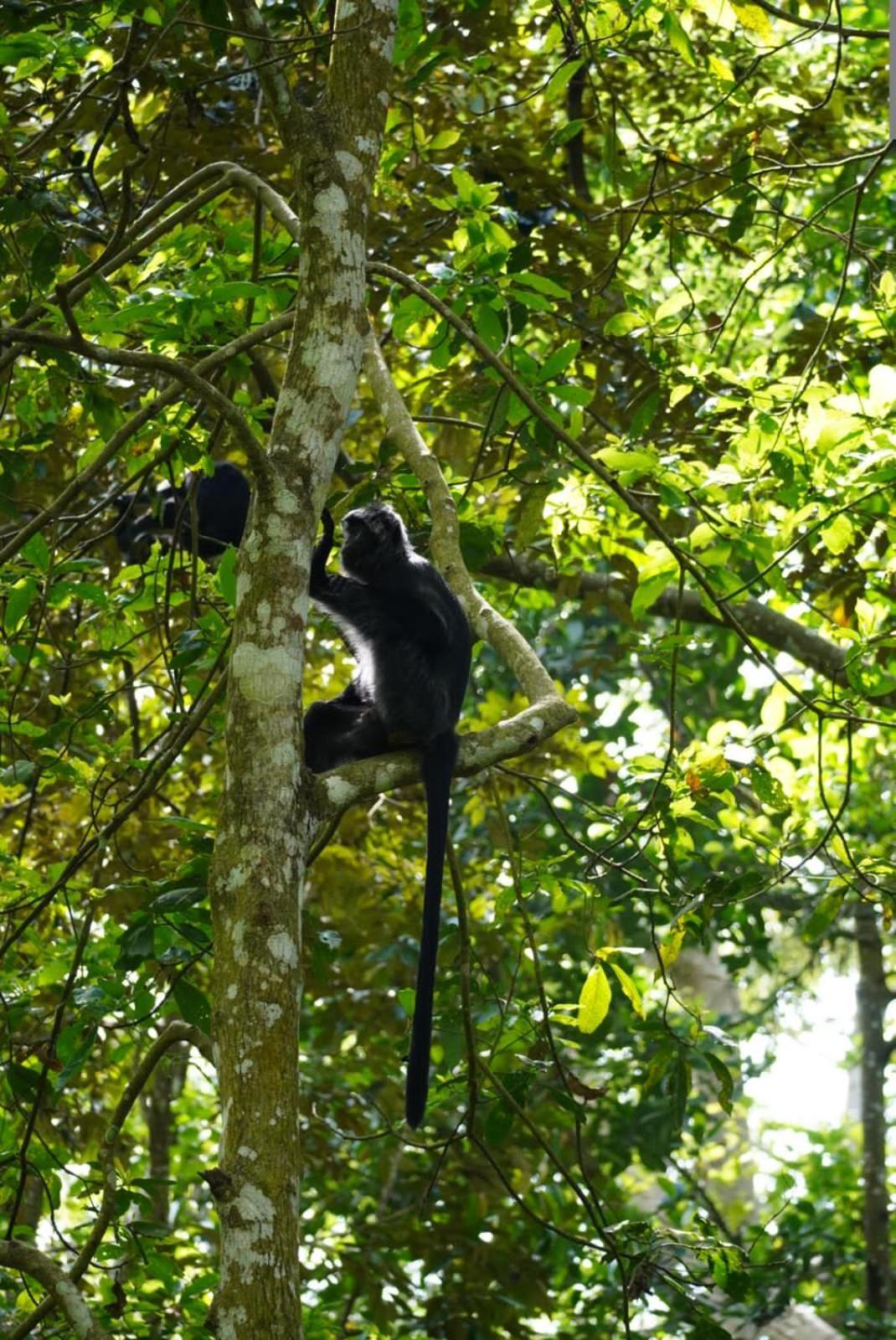 Tetebatu Indah Homestay Exteriör bild