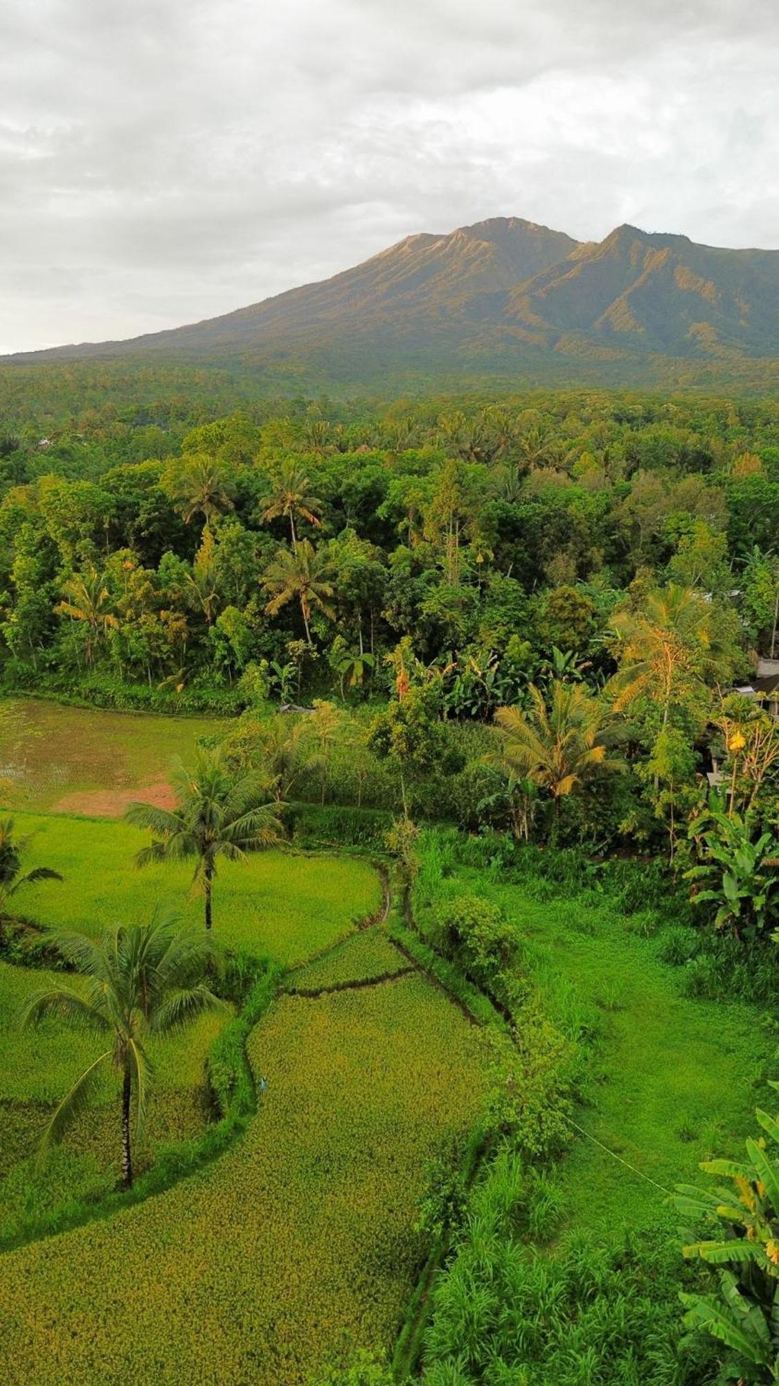 Tetebatu Indah Homestay Exteriör bild