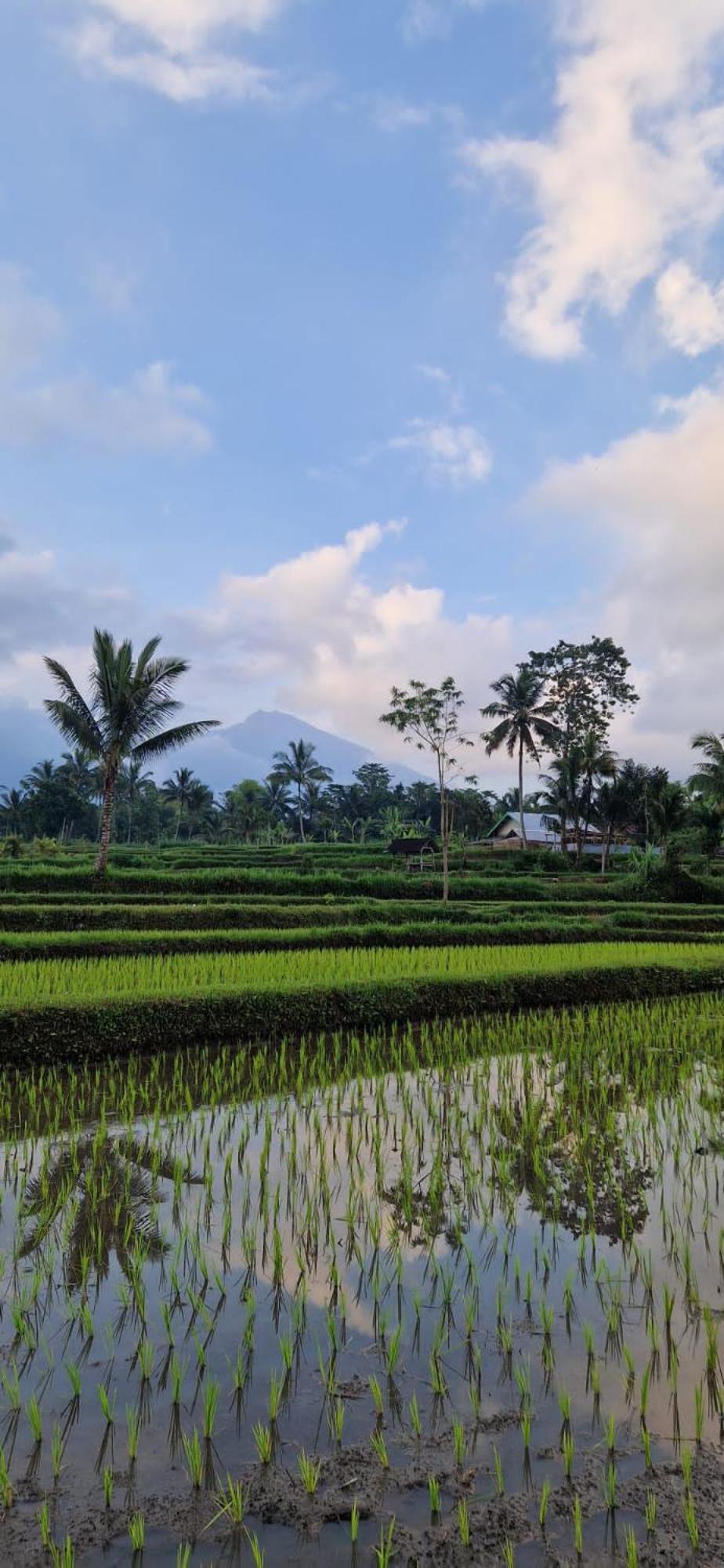 Tetebatu Indah Homestay Exteriör bild