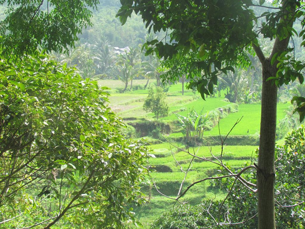 Tetebatu Indah Homestay Exteriör bild