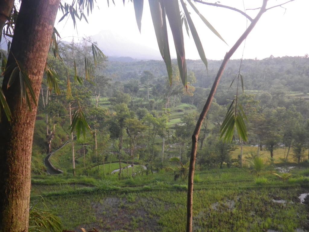 Tetebatu Indah Homestay Exteriör bild